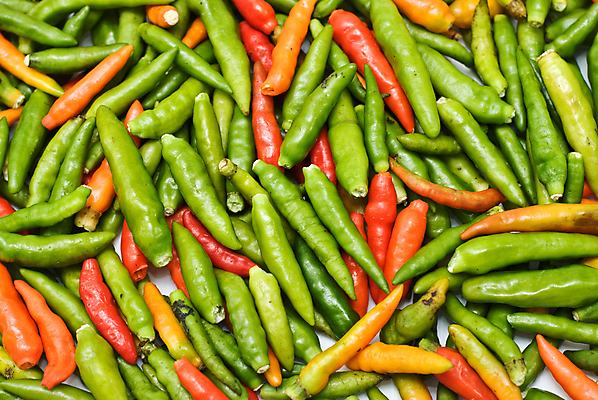 포토 JPG 해외이미지 아시아 농업 채소 오렌지 태국 자연 고추 조류 건강 요리 동양인 사람없음 빨간색 초록색 농장 쌓기 상점 주방 식사 신선 뜨거움 시장 작음 혀 허브 향신료 유기농 매움 카레 성분 내추럴 연소 밭일 해외202004 해외포토 식물 동물 웰빙 나라 산업 음식 컬러 과일 모션 인종 입 맛 크기 생태계 향미료 파일형식 이미지허브