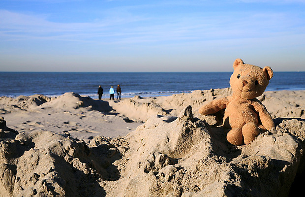 포토 JPG 해외이미지 동물 1 어린이 모래 따뜻함 그림자 앉기 사람없음 빛 장난감 햇빛 곰인형 아기 기다림 고독 그늘 발자국 왼쪽 버리기 오브젝트 싱글 부드러움 노크 마스코트 분실 인기 혼자 해외202004 해외포토 감정 인형 자국 모션 사람 태양 감각 방향 파일형식 이미지허브