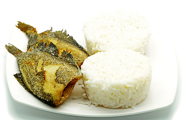 포토 JPG 해외이미지 음식 밥 어류 요리 사람없음 식당 식사 저녁식사 튀김 흰색 맛 점심식사 고립 깊이 해외202004 해외포토 컬러 컨셉 상점 수중동물 파일형식 이미지허브