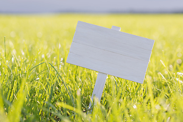 포토 JPG 해외이미지 식물 접시 백그라운드 밭 텍스트 말하기 잔디 사람없음 초록색 빛 태양 맑음 흰색 판넬 발표 칼날 메시지 땅 사인 그림 봉 표현성 해외202004 해외포토 자연요소 식기 컬러 농업 모션 날씨 파일형식 이미지허브