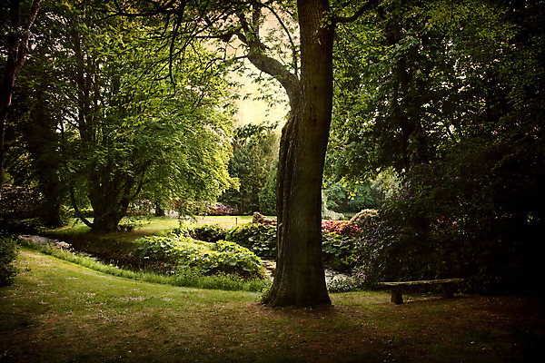 포토 JPG 해외이미지 나무 공원 꽃 벤치 덴마크 사람없음 야외 가로 갈색 봄 수확 골동품 시간 얼룩 개울 복고 엽서 스크래치 그런지 썩음 옛날 해외202004 해외포토 식물 계절 공공시설 컬러 농업 의자 북유럽 강 편지 파일형식 이미지허브