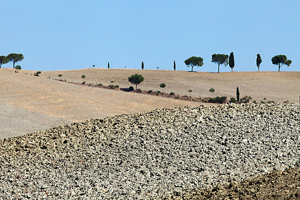 포토 JPG 해외이미지 나무 유럽 밭 농업 자연 풍경 사람없음 여름 농가 평화 환경 고요 이탈리아 달력 성장 가을 시골 만취 언덕 그림 올리브 포도밭 땅바닥 시에나 토스카나 수평선 해외202004 해외포토 식물 계절 열매 나라 산업 컨셉 바닥 농장 생태계 술취함 파일형식 이미지허브