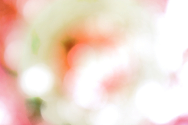 포토 JPG 해외이미지 디자인 분홍색 백그라운드 크리스마스 패턴 오렌지 벽지 하늘 추상 휴가 새로움 미술 경사 사람없음 파란색 빛 컬러풀 태양 파티 우주 환경 축제 봄 할로윈 회색 흰색 축하 원형 소프트포커스 연도 질감 보케 부드러움 해피뉴이어 공상 마법 천국 블러 엘리먼트 파스텔톤 효과 해외202004 해외포토 자연요소 도형 계절 기념일 컬러 컨셉 무늬 과일 문화예술 촬영기법 이벤트 새해인사 감각 파일형식 이미지허브