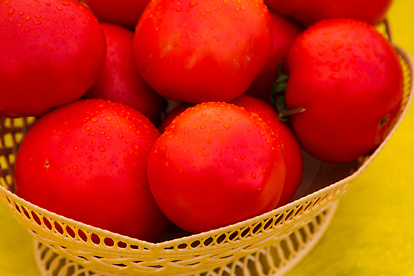 포토 JPG 해외이미지 음식 줄기 십자가 토마토 채소 과일 건강 사람없음 빨간색 빛 활발 젖음 신선 오브젝트 유기농 날것 숙성 해외202004 해외포토 식물 웰빙 컬러 컨셉 파일형식 이미지허브