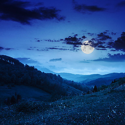 포토 JPG 해외이미지 나무 식물 구름 계절 별 지구 여행 자연 아침 날씨 산 풍경 사람없음 초록색 여름 파란색 빛 환경 계곡 검은색 어둠 행성 안개 달 야간 숲 언덕 산등성이 공상 전나무 해외202004 해외포토 주간 자연요소 컬러 우주 생태계 파일형식 이미지허브