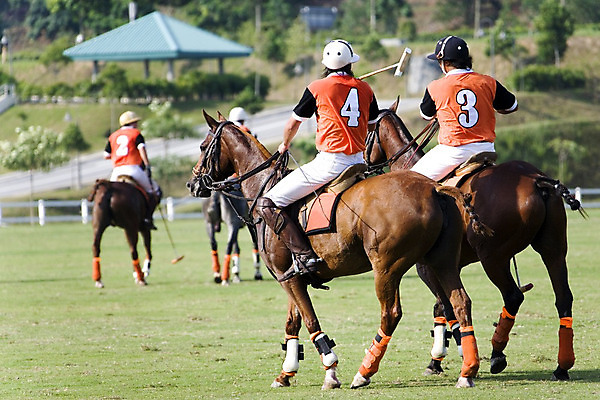 포토 JPG 해외이미지 동물 남자 스포츠 밭 공 놀이 건강 이벤트 경기 사람없음 야외 경쟁 게임 승마 결심 속도 클럽 조랑말 플레이어 해외202004 해외포토 컨셉 농업 사람 말_동물 파일형식 이미지허브