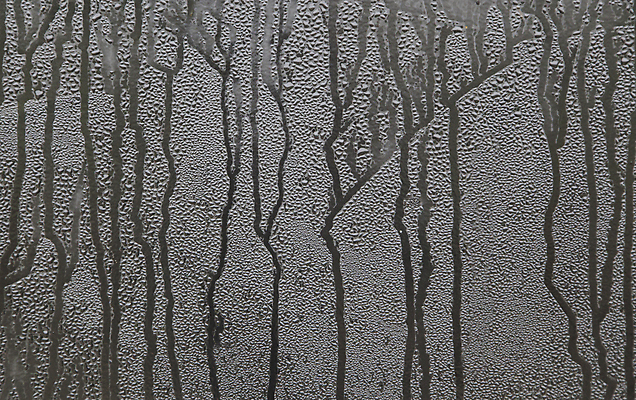 포토 JPG 해외이미지 백그라운드 패턴 목걸이 자동차 자연 유리 벽지 표면 추상 사람없음 장식 물 빛 반사 금속 검은색 어둠 거품 회색 젖음 흰색 물방울 점 액체 떨어짐 이슬 작음 빗방울 구슬 질감 빗물 엘리먼트 해외202004 해외포토 자연요소 육상교통 컬러 컨셉 무늬 장신구 재질 비_날씨 크기 생태계 파일형식 이미지허브