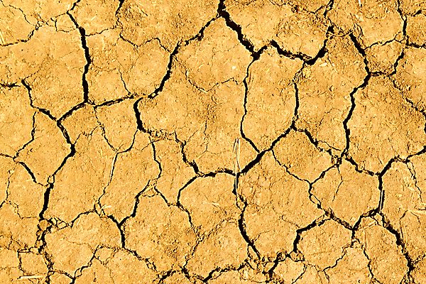 포토 JPG 해외이미지 지구 모래 백그라운드 패턴 자연 표면 날씨 추상 건조 사람없음 야외 여름 글로벌 갈색 환경 흙 사막 죽음 뜨거움 거친 균열 땅 묘사 부식 질감 먼지 점토 지역 진흙 가뭄 다리찢기 내추럴 그런지 깨짐 땅바닥 재앙 지질학 해외202004 해외포토 계절 교육 컬러 컨셉 무늬 모션 바닥 생태계 파일형식 이미지허브