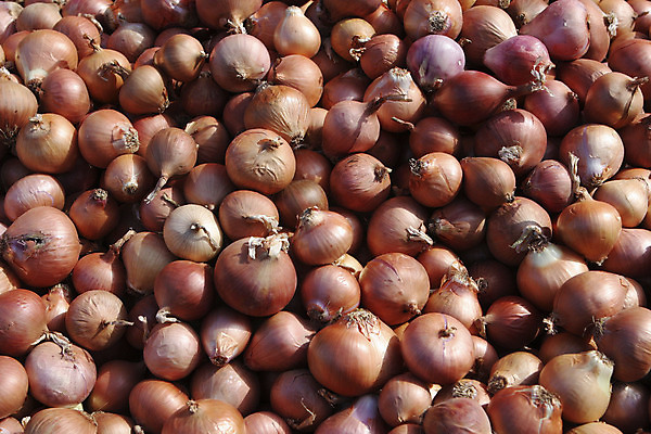 포토 JPG 해외이미지 음식 양파 사람없음 갈색 시장 냄새 해외202004 해외포토 컬러 채소 파일형식 이미지허브