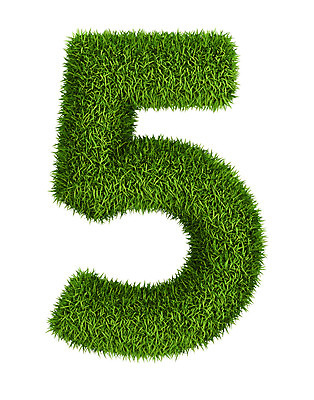 포토 JPG 해외이미지 모양 식물 디자인 알파벳 지구 컨셉 일러스트 자연 건강 잔디 사람없음 초록색 여름 숫자 환경 정원 봄 성장 신선 메시지 심볼 사인 에코 유기농 내추럴 고립 땅바닥 생태학 인구 그리너리 해외202004 해외포토 문자 웰빙 영어 계절 교육 컬러 바닥 생태계 파일형식 트랜드컬러 이미지허브