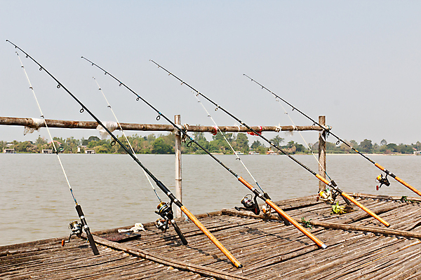 포토 JPG 해외이미지 선 스포츠 여행 가이드 낚시 휴가 휴식 어류 사람없음 물 파란색 강 평화 항구 잡기 보트 고리 유혹 은퇴 휴양지 주말 봉 노끈 미끼 얼레 면허증 줄서기 플로리다 해외202004 해외포토 자연요소 직업 줄 컬러 컨셉 배_교통 교통시설 모션 레저 미국 수중동물 장소 면허 증명서 파일형식 이미지허브