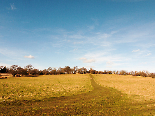 포토 JPG 해외이미지 식물 구름 계절 백그라운드 밭 농업 자연 하늘 풍경 잔디 사람없음 야외 초록색 여름 파란색 햇빛 농장 환경 봄 농촌 시골 신선 땅 언덕 장면 지역 파라다이스 평야 수평선 해외202004 해외포토 자연요소 산업 컬러 태양 생태계 파일형식 이미지허브