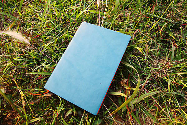 포토 JPG 해외이미지 식물 디자인 교육 종이 스포츠 백그라운드 패턴 밭 비즈니스 학교 자연 풍경 잔디 사람없음 야외 책 초록색 사무실 환경 다이어리 쪽지 공책 공백 흰색 신선 오픈 메시지 가죽 땅 편지 질감 문서 페이지 내추럴 패드 고립 해외202004 해외포토 컬러 무늬 농업 문구용품 사무용품 생태계 파일형식 이미지허브