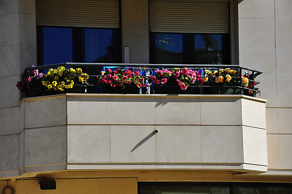 포토 JPG 해외이미지 나무 도로 건축양식 자연 하늘 주택 풍경 사람없음 태양 도시 포르투갈 리스본 해외202004 해외포토 자연요소 식물 건축 유럽 길 교통시설 건물 생태계 파일형식 이미지허브