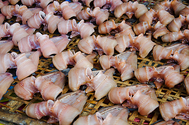 포토 JPG 해외이미지 동물 전통 아시아 음식 바다 패턴 비즈니스 태국 자연 낚시 건조 육류 어류 요리 사람없음 태양 식당 검은색 식사 시골 죽음 보트 시장 보호 상품 먹기 냄새 어장 소매 단백질 절임 줄서기 해외202004 해외포토 자연요소 나라 컬러 컨셉 무늬 배_교통 식재료 모션 레저 상점 수중동물 생태계 영양소 파일형식 이미지허브