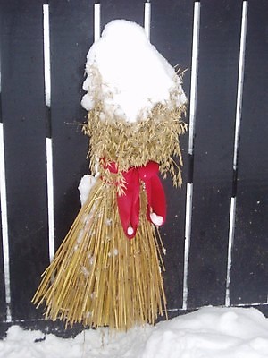 포토 JPG 해외이미지 리본 사람없음 빨간색 활 귀리 해외202004 해외포토 컬러 곡류 파일형식 이미지허브