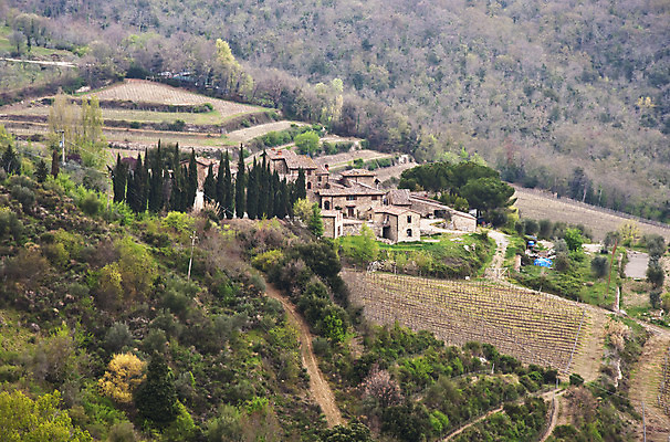 포토 JPG 해외이미지 나무 유럽 여행 밭 자연 포도 주택 풍경 사람없음 야외 초록색 농장 농경지 와인 이탈리아 시골 빌라 언덕 시력 포도밭 포도나무 밭일 양조장 토스카나 해외202004 해외포토 식물 나라 컬러 농업 과일 주류 건물 과일나무 생태계 파일형식 이미지허브