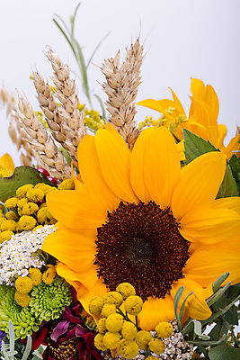 포토 JPG 해외이미지 식물 계절 꽃 꽃다발 백그라운드 오렌지 자연 해바라기 국화 옥수수 이벤트 사람없음 장식 빨간색 초록색 여름 컬러풀 노란색 정원 수확 벚꽃 가을 신선 개화 다발 민트 허브 데이지 보리 도토리 양귀비 수국 추수감사절 엉겅퀴 구성 캐모마일 해외202004 해외포토 기독교 컬러 농업 과일 곡류 견과류 생태계 파일형식 이미지허브