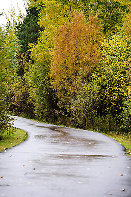 포토 JPG 해외이미지 나무 계절 공원 도로 길 잎 오렌지 자국 자연 휴식 기술 풍경 사람없음 야외 빨간색 초록색 갈색 노란색 걷기 환경 침묵 활발 가을 나뭇가지 황무지 황금 숲 오솔길 싱글 먼지 장면 10월 멀티 소멸 해외202004 해외포토 식물 공공시설 컬러 컨셉 과일 교통시설 모션 소리 날짜 생태계 파일형식 이미지허브