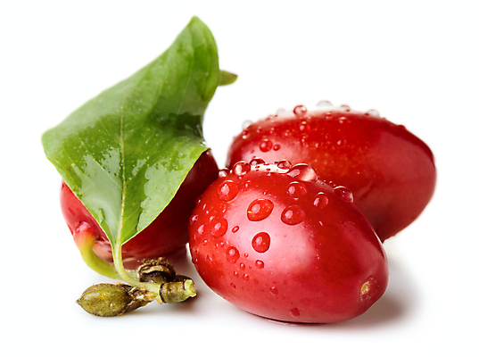 포토 JPG 해외이미지 식물 열매 음식 백그라운드 과일 건강 사람없음 빨간색 초록색 물 식사 젖음 흰색 물방울 나뭇가지 그룹 달콤 맛 볼링 이슬 먹기 오브젝트 진홍색 내추럴 고립 숙성 식용 채식주의자 해외202004 해외포토 자연요소 나무 컬러 컨셉 모션 구기 채식 파일형식 이미지허브