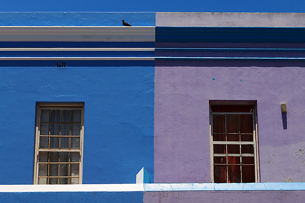 포토 JPG 해외이미지 선 여행 창문 아프리카 주택 사람없음 파란색 컬러풀 보라색 도시 남아프리카 케이프타운 해외202004 해외포토 나라 컬러 건물 남아프리카공화국 파일형식 이미지허브