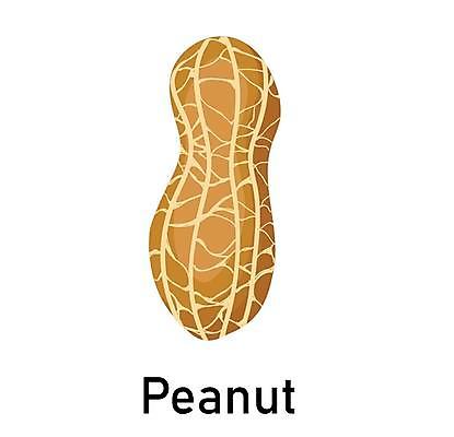 포토 JPG 해외이미지 식물 아이콘 디자인 음식 백그라운드 과일 일러스트 재료 자연 건강 씨앗 사람없음 갈색 저녁식사 펼침 견과류 수확 소용돌이 껍질 오픈 플랫 맛 아침식사 만화 먹기 심볼 오브젝트 흰배경 유기농 복고 날것 땅콩 버터 내추럴 알레르기 고립 단백질 채식주의자 스타일 디테일 비건 해외202004 해외포토 웰빙 컬러 컨셉 농업 모션 식사 회오리 흰색 질병 생태계 채식 영양소 파일형식 이미지허브