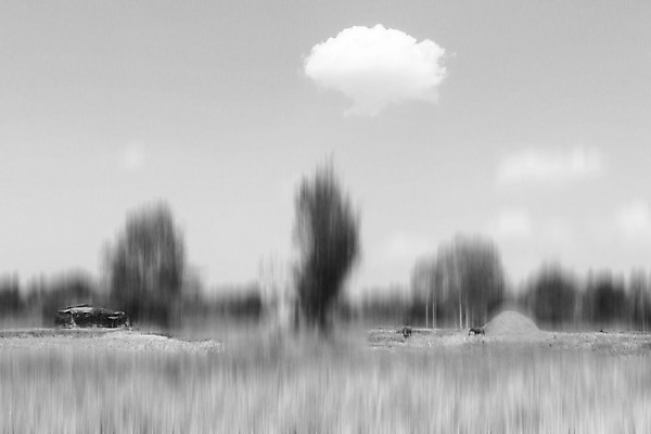 포토 JPG 해외이미지 아시아 태국 자연 추상 흑백 사람없음 검은색 고요 내추럴 해외202004 해외포토 나라 컬러 무늬 촬영기법 생태계 파일형식 이미지허브