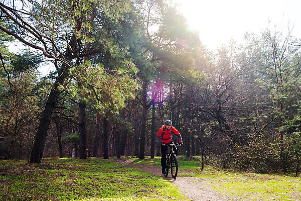 포토 JPG 해외이미지 라이프스타일 남자 여행 불꽃 산 한명 안전 성인 야외 태양 자전거 승차 숲 헬멧 라이더 선로 성인남자한명만 해외202004 해외포토 자연요소 1 모션 불 사람 생활 바이크 보호장비 남자한명만 성인남자만 파일형식 이미지허브