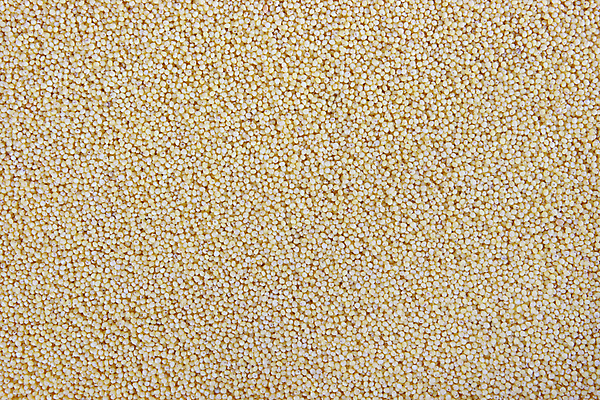 포토 JPG 해외이미지 식물 디자인 음식 빵 백그라운드 패턴 농업 재료 자연 벽지 추상 건조 건강 옥수수 씨앗 사람없음 농작물 갈색 노란색 검은색 식사 성장 가을 흰색 황금 낟알 시리얼 밀 먹기 유기농 질감 알맹이 날것 흙더미 내추럴 고립 수수 채식주의자 더스트파티클 해외202004 해외포토 웰빙 계절 산업 컬러 무늬 모션 곡류 흙 생태계 채식 파일형식 더미 이미지허브