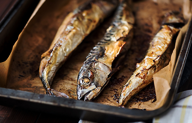 포토 JPG 해외이미지 접시 어류 요리 사람없음 갈색 튀김 그릴 굽기 해산물 고등어 점심식사 해외202004 해외포토 식기 음식 컬러 주방용품 식사 수중동물 구이 파일형식 이미지허브