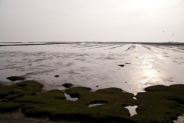 포토 JPG 해외이미지 계절 바다 자연 하늘 조명 독일 풍경 사람없음 물 빛 태양 반사 일몰 봄 거울 플랫 저녁 4월 진흙 북쪽 수평선 해외202004 해외포토 자연요소 유럽 노을 날짜 야간 방향 생태계 파일형식 이미지허브