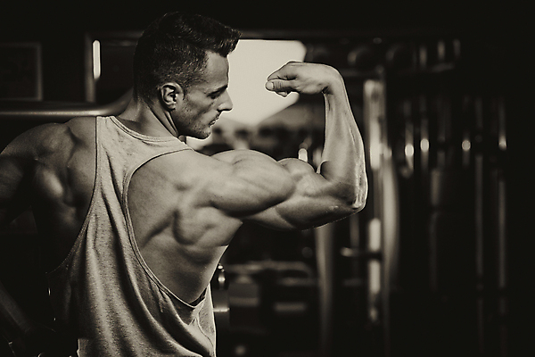 포토 JPG 해외이미지 백인 모델 라이프스타일 남자 스포츠 근육 흑백 실내 건강 한명 성인 신체부위 운동복 운동 스트레칭 힘 헬스장 구부린 웨이트트레이닝 보디빌딩 허리 복지 체육관 근육질 에어로빅 궤 세피아 성인남자만 해외202004 해외포토 서양인 1 옷 모션 촬영기법 사람 내부 생활 헬스 춤 사회이슈 몸매 남자만 성인만 파일형식 이미지허브