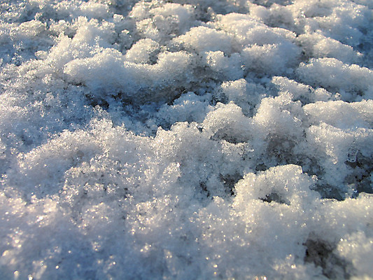 포토 JPG 해외이미지 나무 백그라운드 겨울 자연 사람없음 환경 냉동 얼음 추위 흰색 닫기 가루 북극 서리 눈덩이 폭설 해외202004 해외포토 자연요소 식물 계절 컬러 모션 눈_날씨 자연재해 극지방 생태계 파일형식 이미지허브