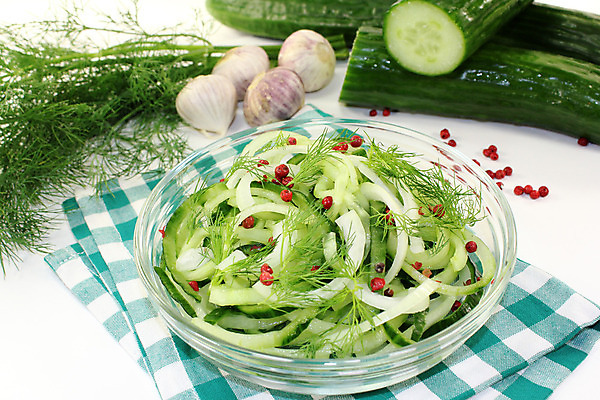 포토 JPG 해외이미지 음식 채소 양파 오이 사람없음 초록색 껍질 신선 상추 자르기 허브 향신료 날것 소금 후추 성분 딜 해외202004 해외포토 식물 컬러 모션 향미료 파일형식 이미지허브