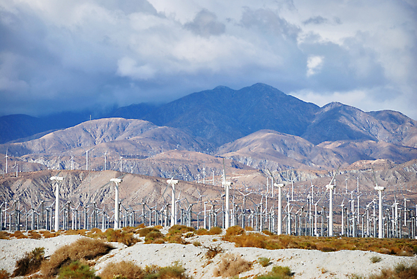 포토 JPG 해외이미지 식물 구름 공원 산업 밭 자연 하늘 바람 날씨 미래 안전 풍경 사람없음 초록색 파란색 환경 탑 힘 재활용 풍차 발전기 에너지 흰색 바퀴 역 보호 프로펠러 캘리포니아 엔진 세대 방앗간 생태학 해외202004 해외포토 자연요소 건축물 공공시설 교육 컬러 컨셉 농업 교통시설 미국 발전소 친환경 생태계 파일형식 이미지허브