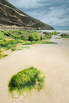 포토 JPG 해외이미지 유럽 모래 바다 여행 자연 날씨 휴가 풍경 사람없음 세로 초록색 물 여름 맑음 봄 바위 스페인 선원 암초 내추럴 해외202004 해외포토 자연요소 계절 나라 컬러 돌_바위 생태계 파일형식 이미지허브