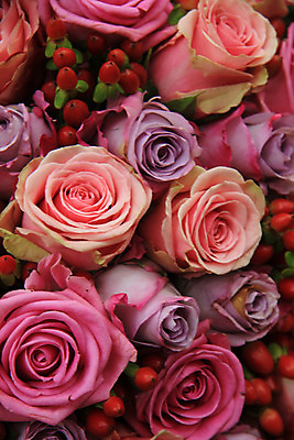 포토 JPG 해외이미지 식물 꽃잎 꽃 분홍색 꽃다발 결혼 백그라운드 자연 결혼식 사랑 사람없음 장식 초록색 장미 보라색 봄 축하 배열 꽃집 질감 파스텔톤 해외202004 해외포토 계절 감정 컬러 컨셉 이벤트 상점 생태계 파일형식 이미지허브