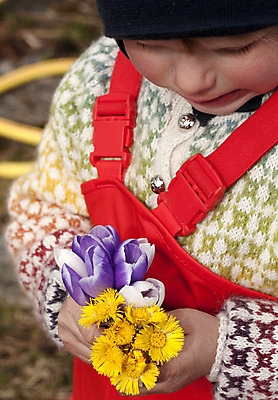 포토 JPG 해외이미지 응시 꽃 어린이 표정 한명 빨간색 노란색 보라색 봄 잡기 달콤 작음 속도 해외202004 해외포토 식물 1 시선 계절 컬러 모션 사람 맛 크기 파일형식 이미지허브