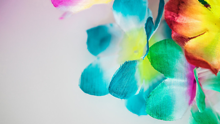 포토 JPG 해외이미지 식물 꽃잎 꽃 분홍색 꽃다발 꽃무늬 자연 휴가 사람없음 장식 빨간색 초록색 노란색 정원 보라색 봄 튤립 벚꽃 신선 난초 하와이인 해외202004 해외포토 외국인 계절 컬러 무늬 생태계 파일형식 이미지허브