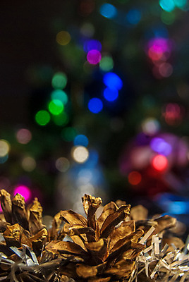 포토 JPG 해외이미지 나무 전통 계절 백그라운드 크리스마스 겨울 공 유리 휴가 불꽃 전등 새로움 기념 실내 매달리기 이벤트 사람없음 내부 장식 빨간색 초록색 빛 크리스마스트리 파티 축제 장식볼 흰색 축하 소나무 원형 투명 닫기 야간 12월 연도 묘사 상록수 해외202004 해외포토 자연요소 도형 식물 기념일 컬러 컨셉 모션 재질 불 조명 날짜 파일형식 이미지허브