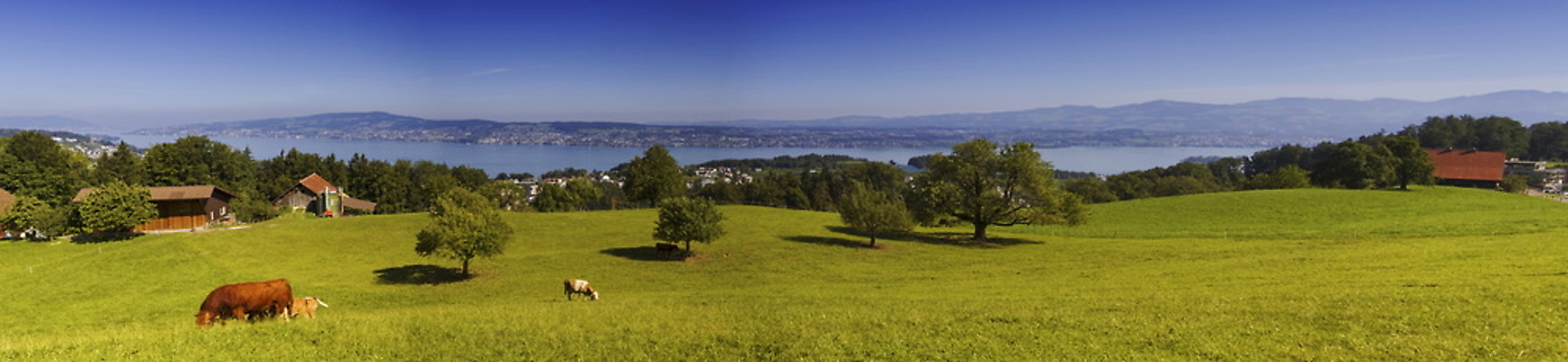 포토 JPG 해외이미지 유럽 호수 여행 하늘 산 안테나 파노라마 풍경 사람없음 야외 물 여름 파란색 여행객 소 스위스 해외202004 해외포토 자연요소 계절 나라 컬러 통신 포유류 촬영기법 사람 파일형식 이미지허브