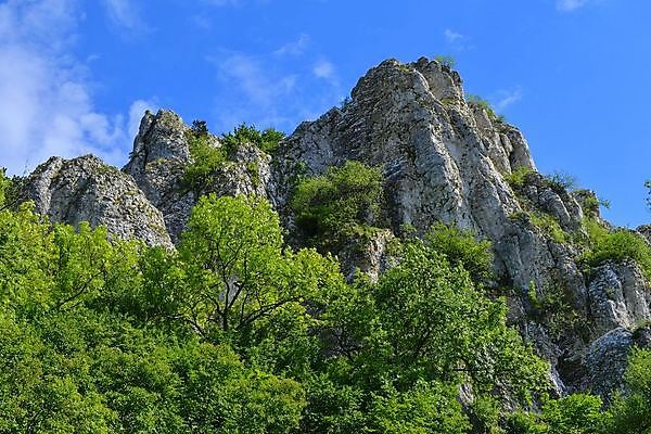 포토 JPG 해외이미지 나무 식물 유럽 산업 여행 백그라운드 밭 농업 건축양식 자연 하늘 산 파노라마 풍경 사람없음 야외 초록색 여름 파란색 마을 와인 봄 성장 흰색 시골 숲 언덕 포도밭 포도나무 지역 체코 남쪽 내추럴 공화국 옛날 모라비아 해외202004 해외포토 계절 건축 나라 컬러 주류 촬영기법 과일나무 방향 생태계 파일형식 이미지허브