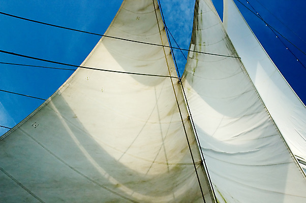 포토 JPG 해외이미지 요트 하늘 낚시 바람 항해 사람없음 파란색 흰색 보트 크루즈 불기 함선 해적 네비게이션 돛대 레가타 불법복제 해외202004 해외포토 자연요소 컬러 배_교통 모션 레저 날씨 도둑 파일형식 이미지허브