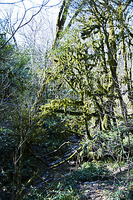 포토 JPG 해외이미지 나무 식물 손 계절 잎 자연 손잡이 이끼 사람없음 야외 초록색 울타리 상자 정원 봄 성장 칼날 닫기 발굴 원예 클립 날카로움 다듬기 돌봄 옛날 울퉁불퉁 원예사 제목 그리너리 해외202004 해외포토 직업 컬러 모션 취미 신체부위 담장 생태계 파일형식 트랜드컬러 이미지허브