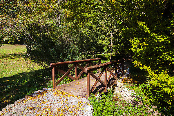 포토 JPG 해외이미지 나무 식물 계절 공원 유럽 도로 길 백그라운드 단풍 잎 오렌지 자연 풍경 사람없음 야외 목재 초록색 빛 컬러풀 갈색 노란색 환경 활발 가을 시골 신선 황금 숲 오솔길 내추럴 세르비아 화창 해외202004 해외포토 공공시설 나라 컬러 컨셉 과일 재료 교통시설 날씨 생태계 파일형식 이미지허브