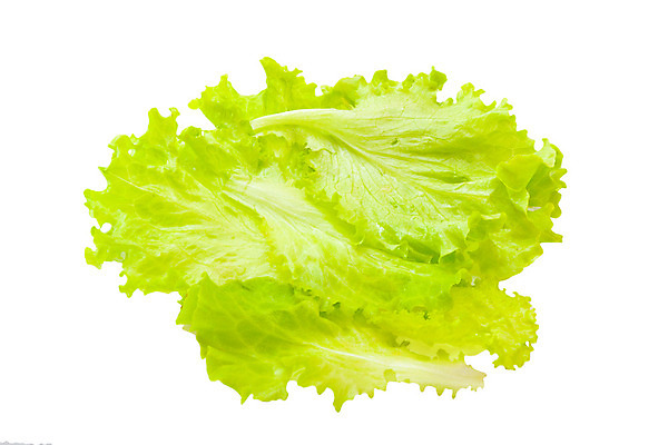 포토 JPG 해외이미지 식물 음식 백그라운드 잎 농업 다이어트 채소 재료 자연 건강 사람없음 초록색 빛 정원 활발 샐러드 수확 흰색 신선 닫기 상추 먹기 오브젝트 유기농 날것 고립 채식주의자 해외202004 해외포토 웰빙 산업 컬러 컨셉 모션 생태계 채식 파일형식 이미지허브