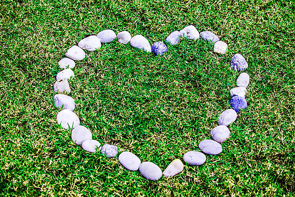 포토 JPG 해외이미지 디자인 컨셉 사랑 미술 사람없음 빛 힘 에너지 하트 낙서 심볼 에코 질감 클립 심플 윤곽 녹색배경 내추럴 혁명 해외202004 해외포토 모양 감정 백그라운드 문화예술 초록색 환경 파일형식 이미지허브