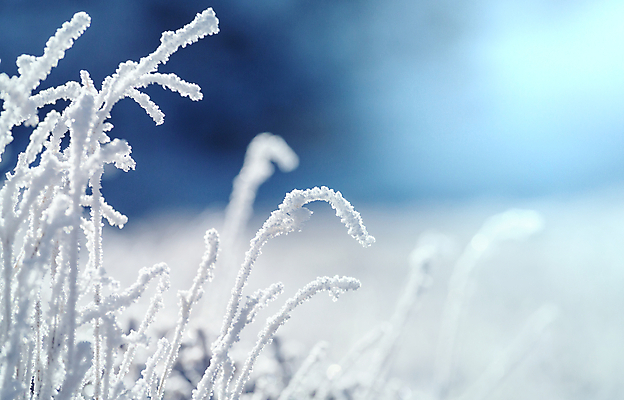 포토 JPG 해외이미지 식물 전통 계절 백그라운드 크리스마스 겨울 자연 휴가 스키 산 그림자 풍경 사람없음 야외 파란색 빛 햇빛 맑음 얼음 추위 덮개 백발 흰색 황무지 작음 시원함 12월 크리스탈 서리 장면 1월 눈내림 해외202004 해외포토 자연요소 헤어스타일 기념일 컬러 날씨 겨울스포츠 눈_날씨 태양 뚜껑 날짜 크기 광석 생태계 파일형식 이미지허브