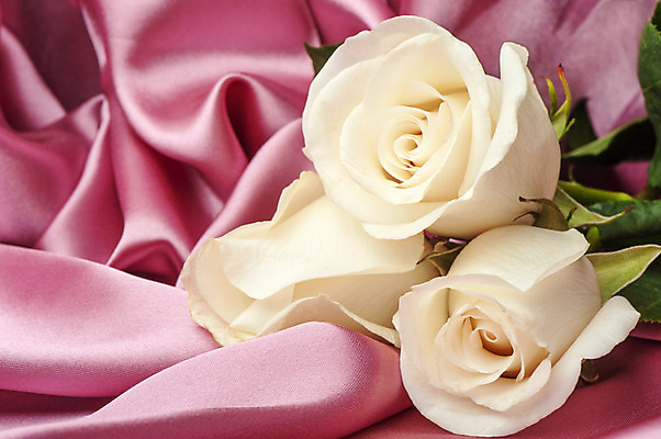 포토 JPG 해외이미지 옷 꽃 파도 백그라운드 패턴 벽지 추상 사람없음 장식 빛 장미 유행 직물 커튼 우아함 매끈함 실크 질감 웨이브 열정 부드러움 해외202004 해외포토 식물 감정 바다 컨셉 무늬 감각 파일형식 이미지허브