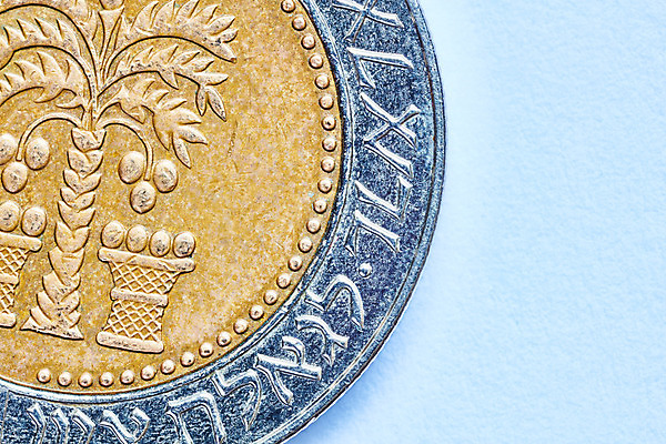 포토 JPG 해외이미지 스튜디오촬영 돈 비즈니스 성공 사람없음 아웃포커스 가로 금융 빛 한개 야자수 금속 동전 저축 10 원형 변화 재산 황금 닫기 은색 흰배경 투자 대추 수익 고립 이스라엘 정물화 경제학 해외202004 해외포토 도형 나무 1 교육 컬러 백그라운드 컨셉 모션 재질 촬영기법 실내 경제 숫자 흰색 그림 서아시아 파일형식 이미지허브